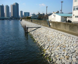 豊洲運河改良