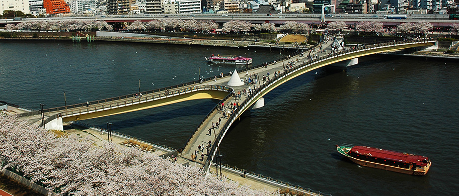 桜橋